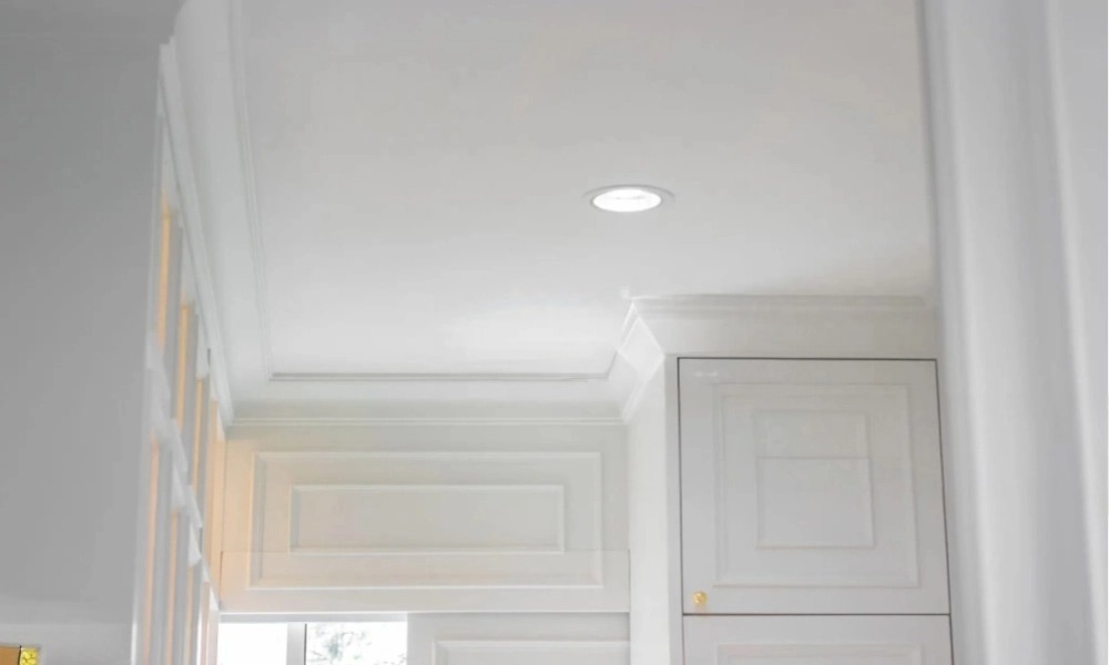 Recessed frameless downlights and recessed framed downlights