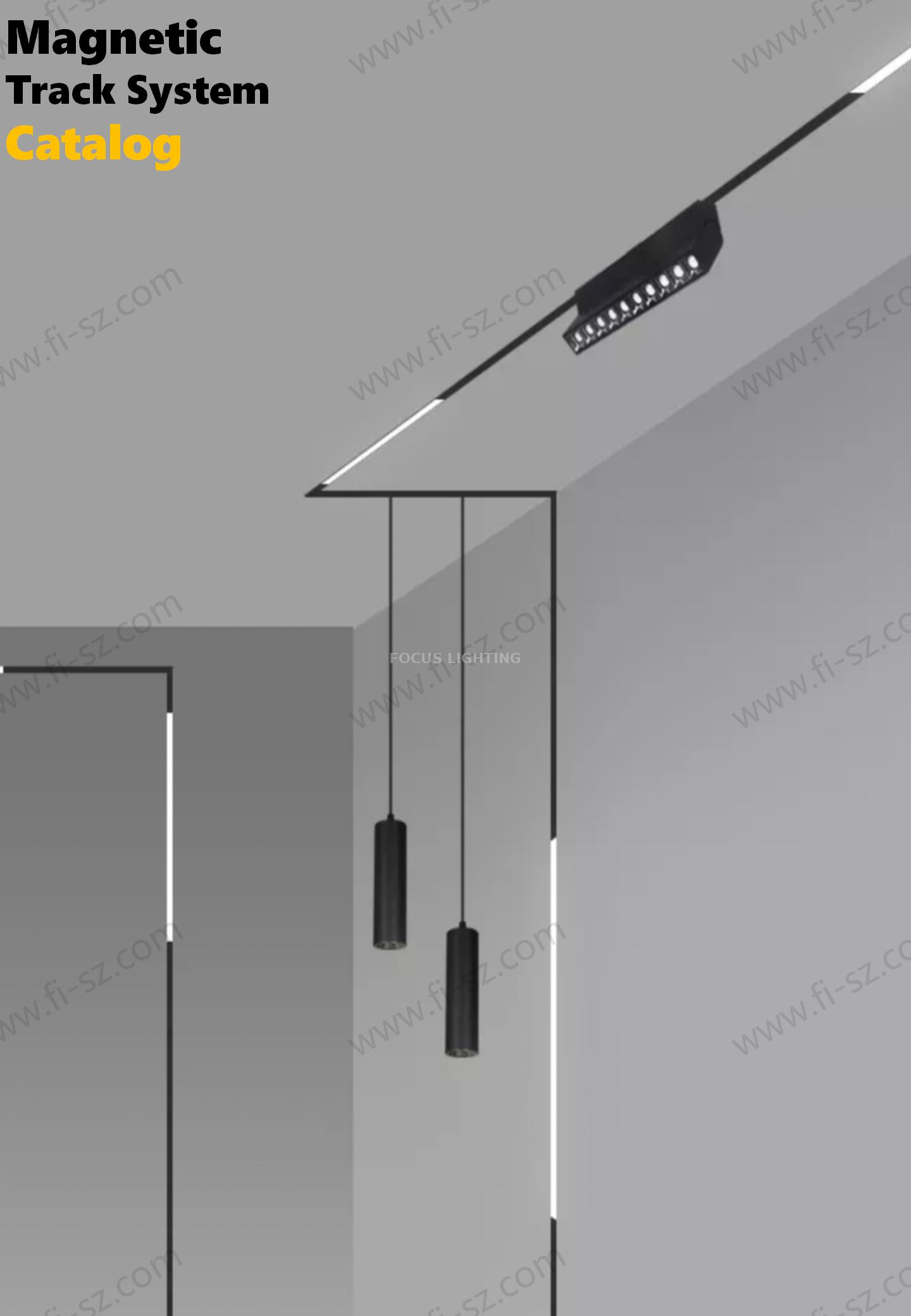 M20 Zhu Magnetic lighting catalog