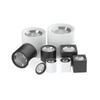 Big High Power Cylinder 10W/15W/20W/30W/40W/60W Surface Mounted COB LED Downlights