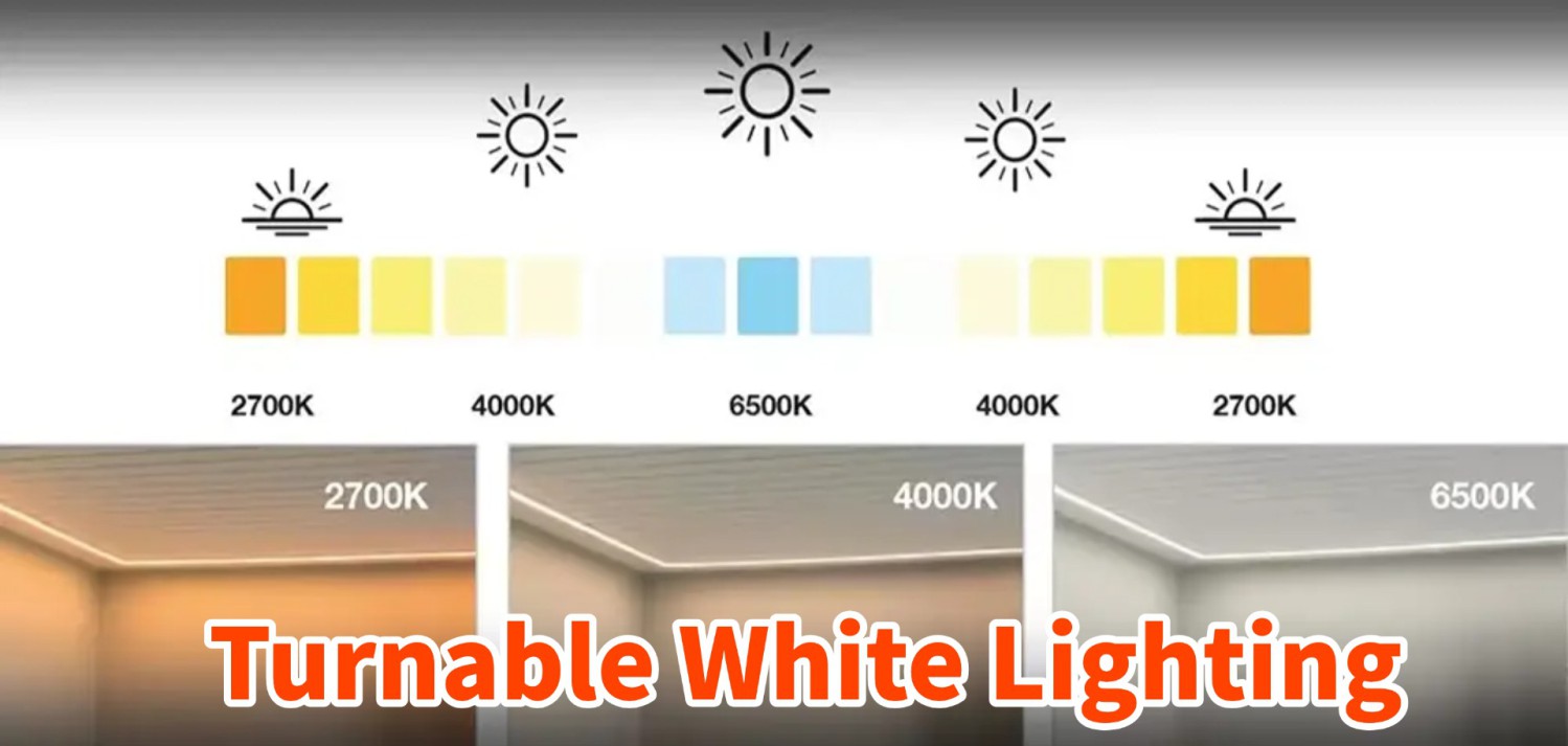 tunable white banner
