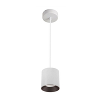 Song Series Surface Pendant IP65 Waterproof 10W 15W 20W 30W 40W 60W 80W Down Light Outdoor