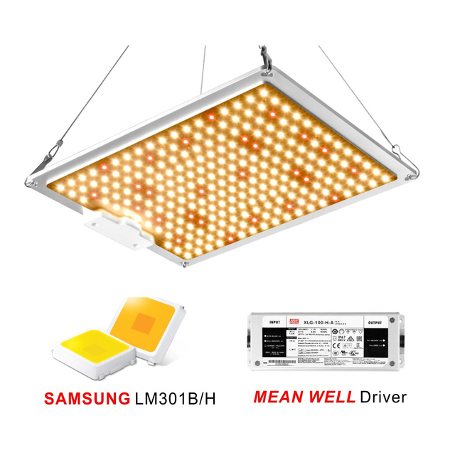 100W 240W 450W 600W Indoor Full Spectrum Hydroponic Plant Growing Quantum Board LED Grow Light