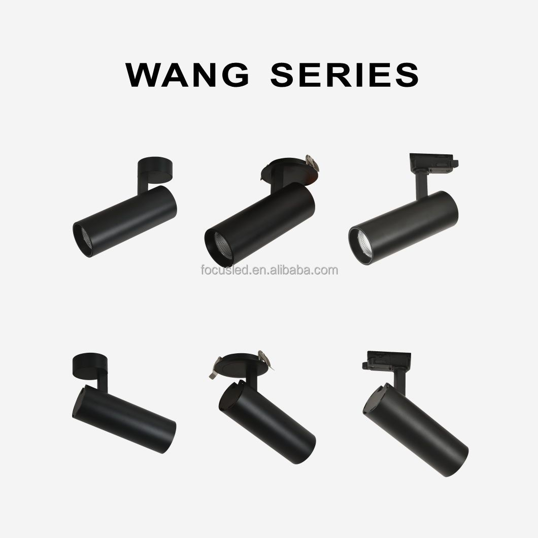 Wang Series Led Track Light 30W