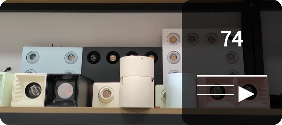 LED Down Light