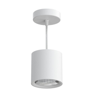 Big High Power Cylinder 10W/15W/20W/30W/40W/60W Surface Mounted COB LED Pendant Downlights