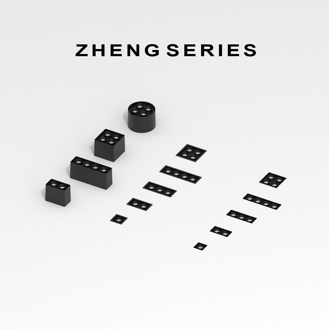 zheng(21)