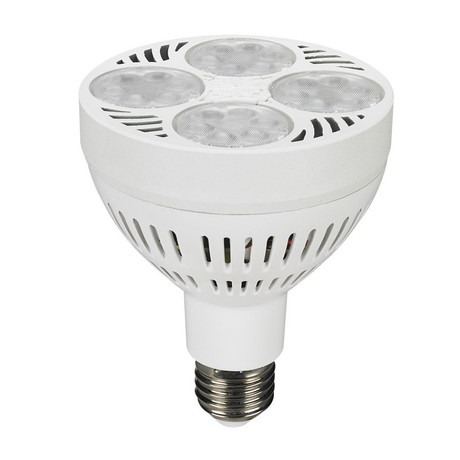 30W 35W 40W White/Black color 3000K 4000K 6000K 10000K PAR 30 Bulb Spotlight LED PAR30 with fan